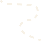 Vector 2