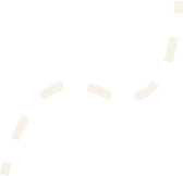 Vector 3