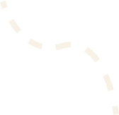 Vector 4