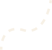 Vector 5